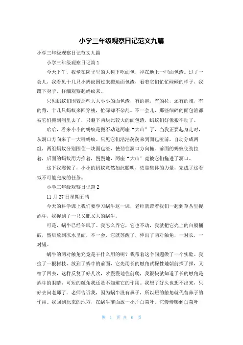 小学三年级观察日记范文九篇