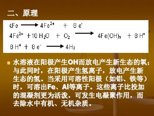 试验6电解法处理印染废水试验