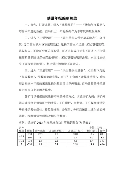 储量年报编制总结