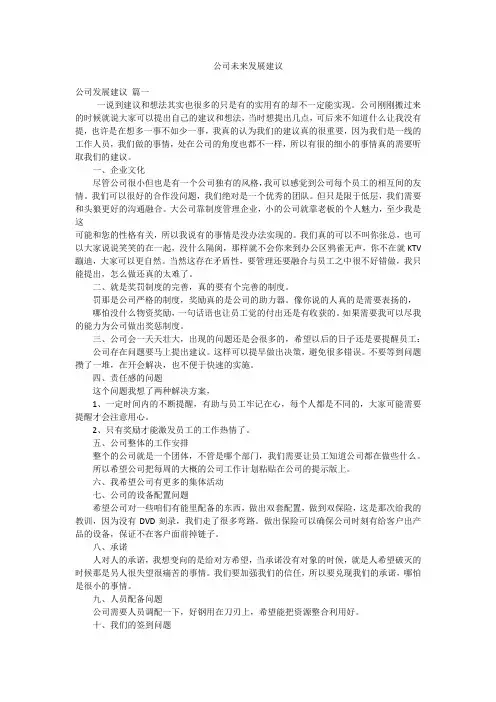 公司未来发展建议