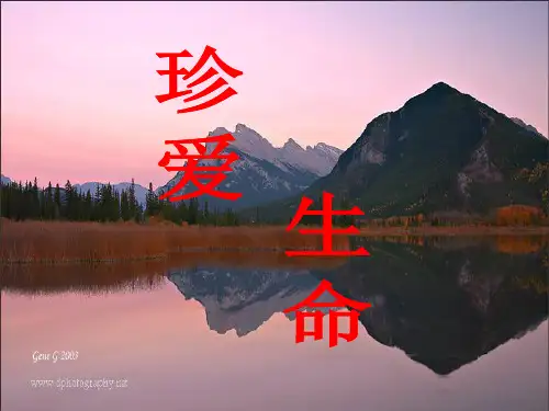 氯碱生产安全事故案例分析-10.17