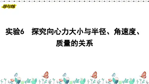 实验6 探究向心力大小与半径角速度质量的关系
