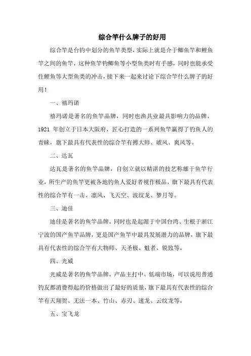 钓鱼技巧之钓具：综合竿什么牌子的好用