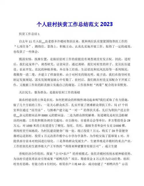 个人驻村扶贫工作总结范文2023