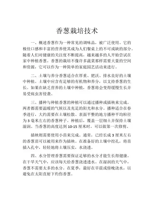 香葱栽培技术