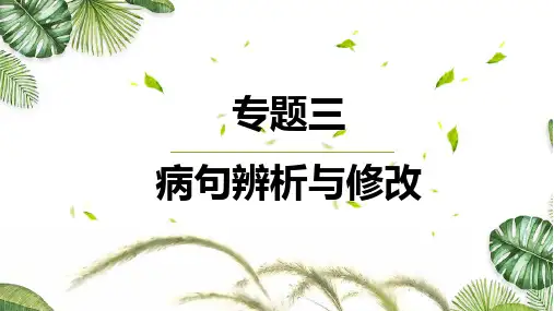初中语文总复习专题三病句(二)