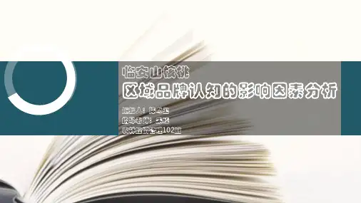 品牌分析模板ppt课件