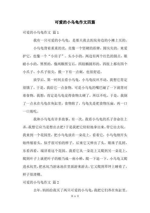可爱的小乌龟作文四篇