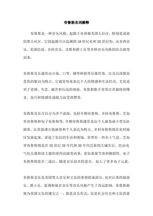 布鲁斯名词解释