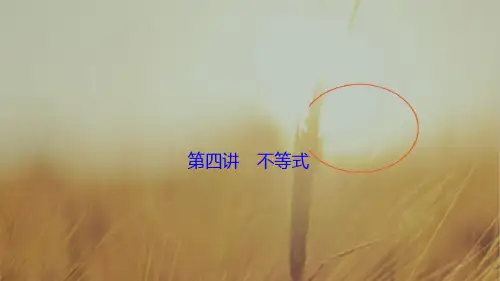 2018届高三数学文高考二轮复习课件 第一部分 专题一 第四讲 不等式 精品