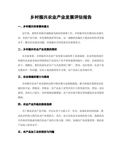 乡村振兴农业产业发展评估报告