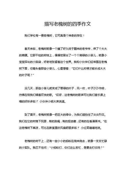 描写老槐树的四季作文