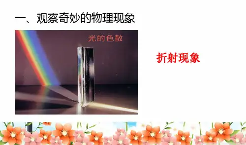 教科版八年级上册物理知识点讲解