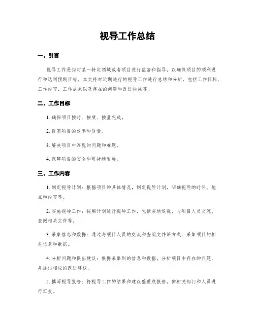 视导工作总结