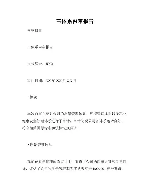 三体系内审报告