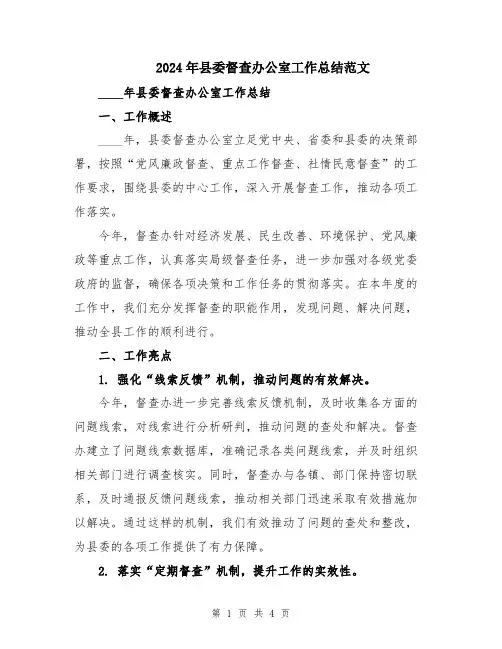 2024年县委督查办公室工作总结范文
