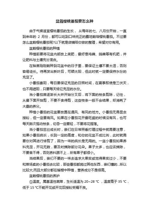 盆栽樱桃番茄要怎么种