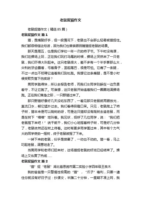老鼠捉猫作文