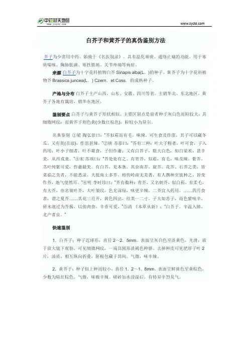 白芥子和黄芥子的真伪鉴别方法