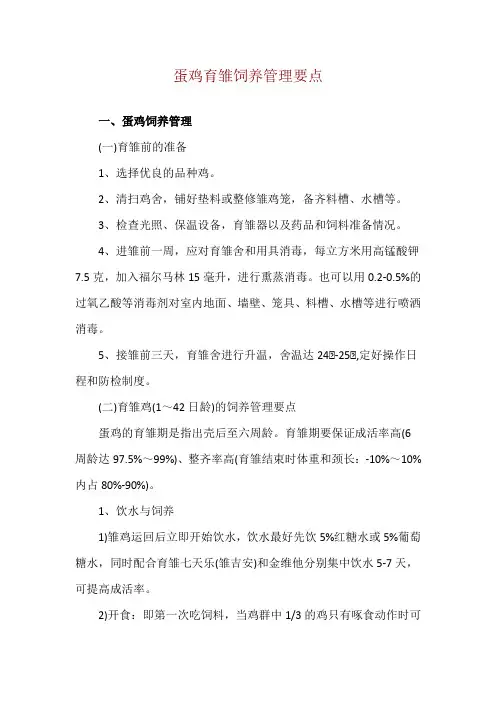 蛋鸡育雏饲养管理要点