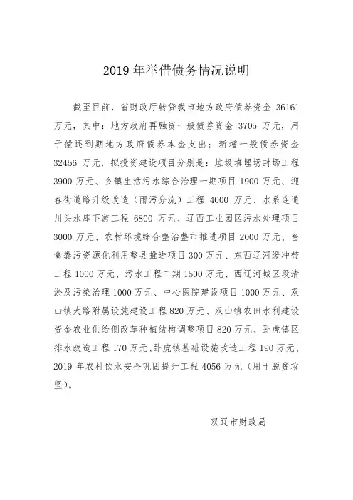 2019年举借债务情况说明