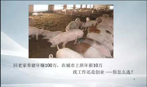 就业与创业PPT(精品课件).ppt