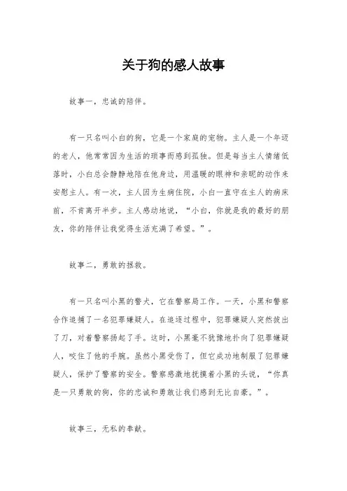 关于狗的感人故事