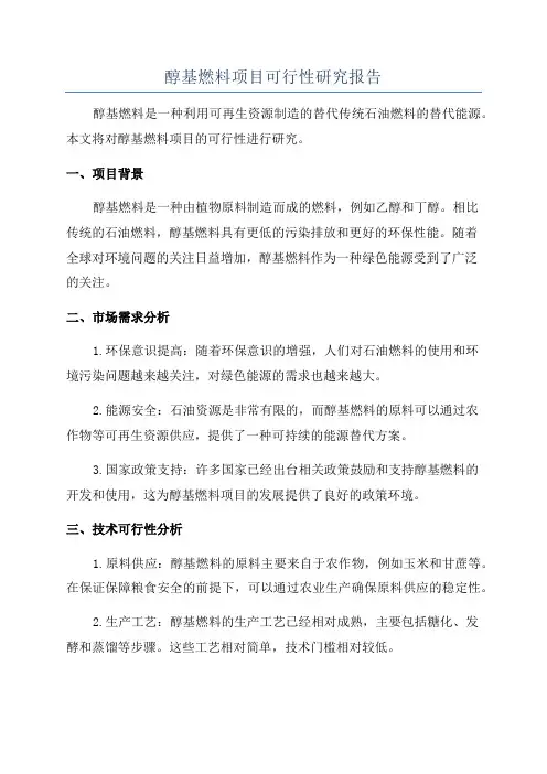 醇基燃料项目可行性研究报告