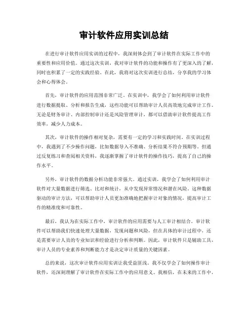 审计软件应用实训总结
