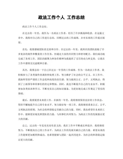 政法工作个人 工作总结