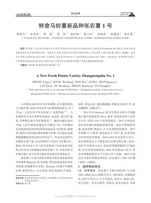 鲜食马铃薯新品种张农薯1号