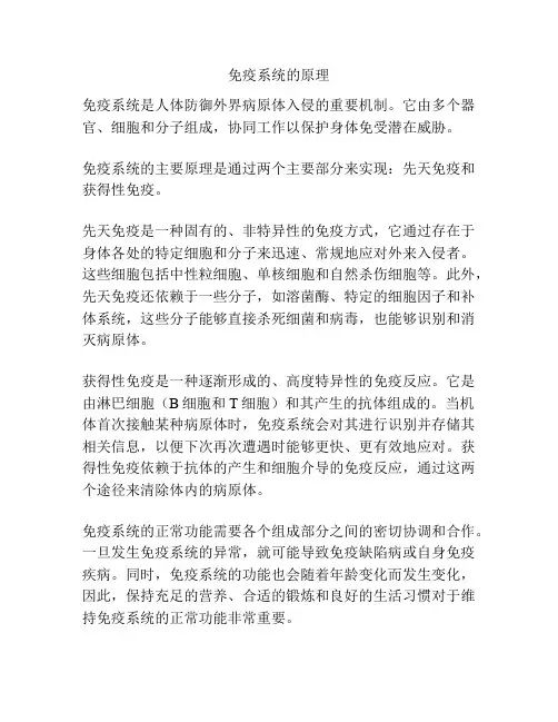 免疫系统的原理