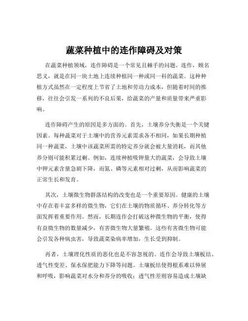 蔬菜种植中的连作障碍及对策