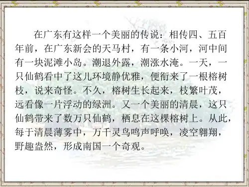 3、鸟的天堂故事