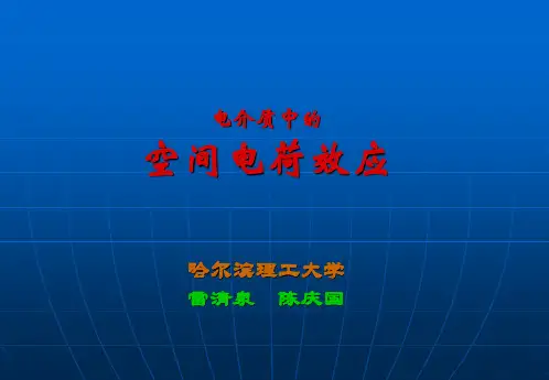 雷清泉院士电介质中的空间电荷效应