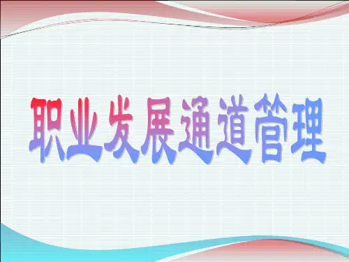 职业发展通道管理教材PPT课件(23张)