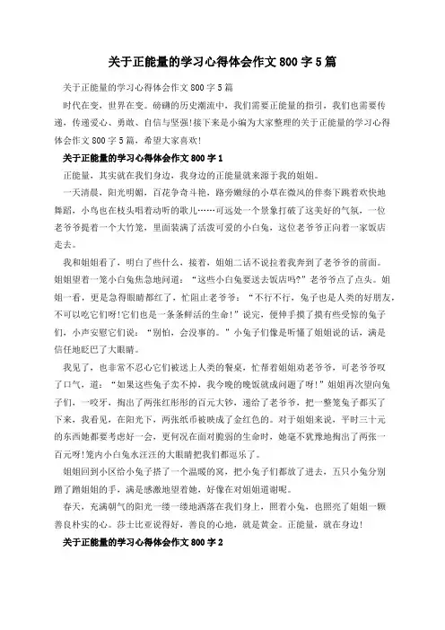 关于正能量的学习心得体会作文800字5篇