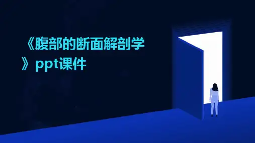 《腹部的断面解剖学》课件