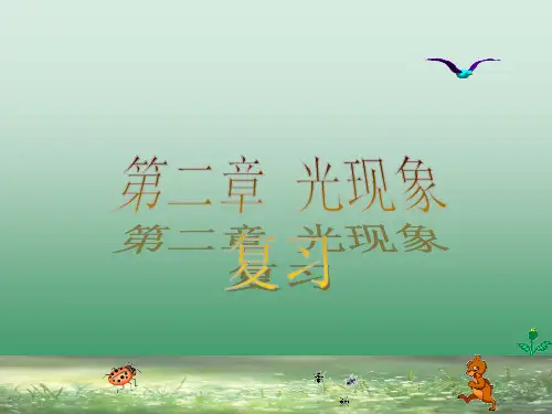 第二章光现象PPT课件(人教版)