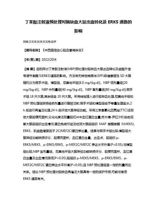 丁苯酞注射液预处理对脑缺血大鼠出血转化及ERK5通路的影响