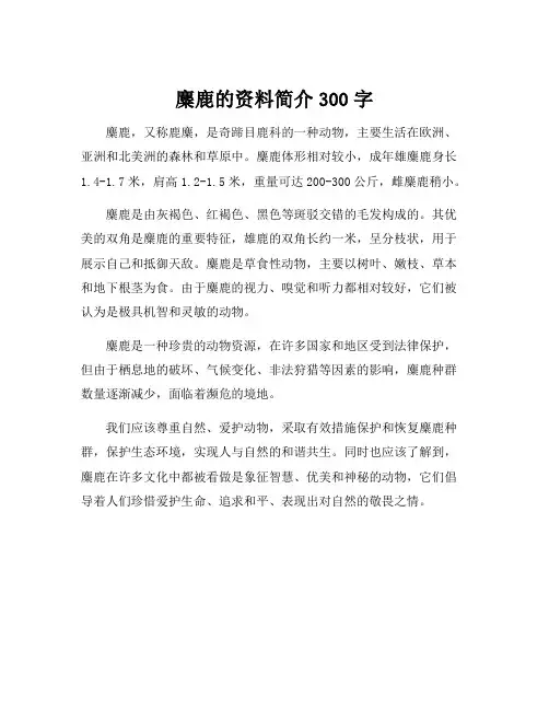 麋鹿的资料简介300字