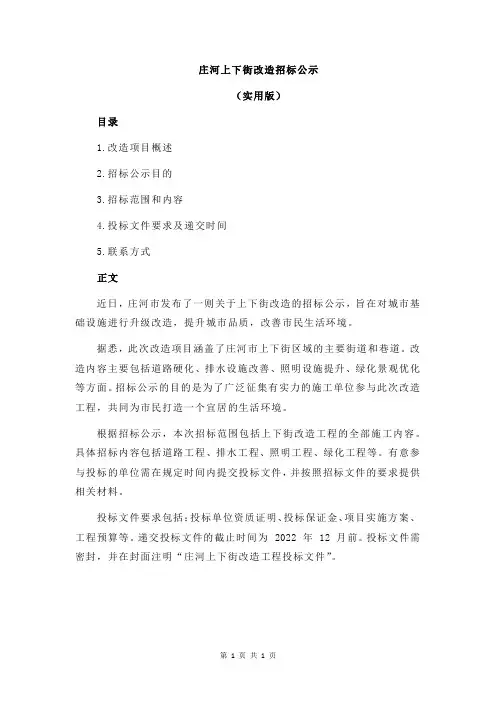 庄河上下街改造招标公示