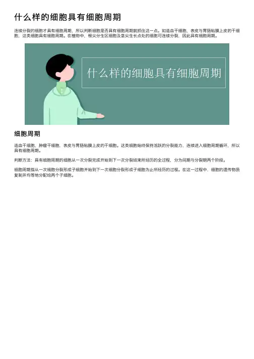 什么样的细胞具有细胞周期
