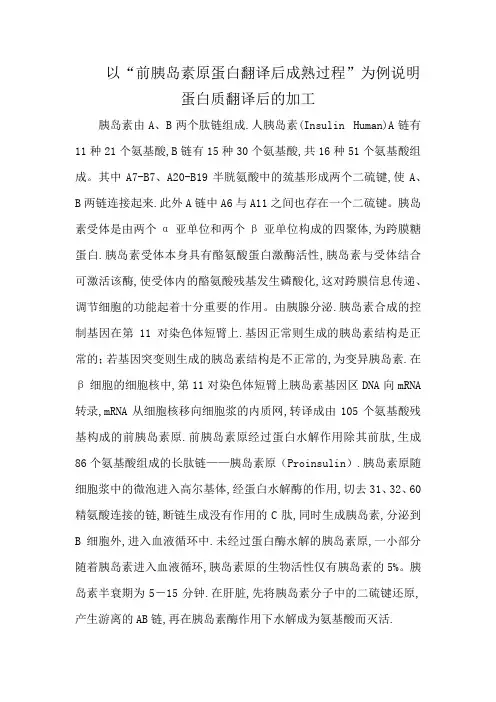 以“前胰岛素原蛋白翻译后成熟过程”为例说明蛋白质翻译后的加工