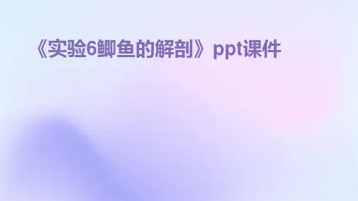 《实验6鲫鱼的解剖》课件