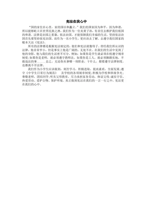 宪法在我心中