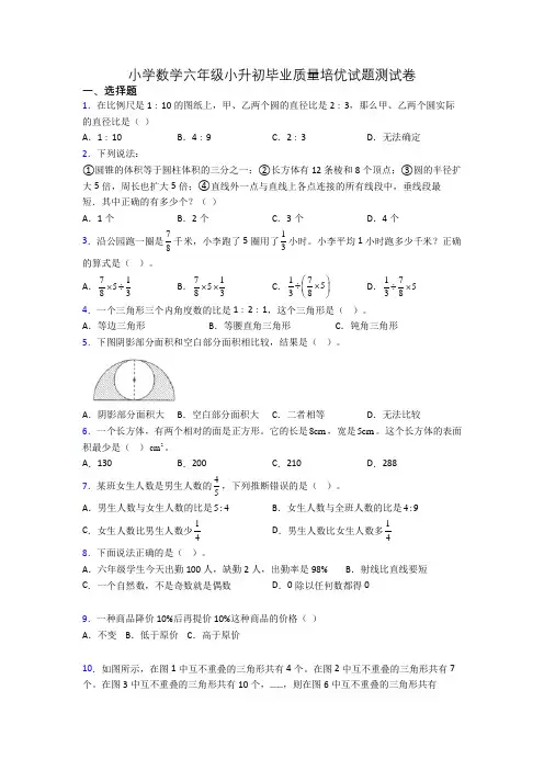 小学数学六年级小升初毕业质量培优试题测试卷