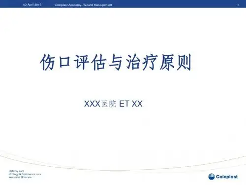 6.1-伤口评估与治疗原则