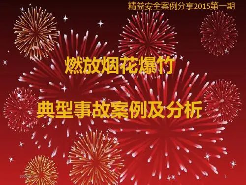年精益案例分享第一期燃放烟花爆竹案例分析PPT课件