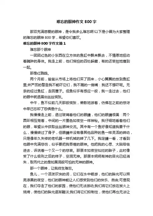 难忘的眼神作文800字